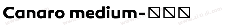 Canaro medium字体转换